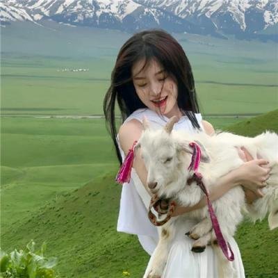 探索白蚁密室